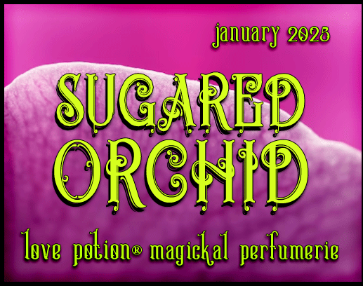 Sugared Orchid layerable perfume by Love Potion. Label shows fuchsia orchid petals.