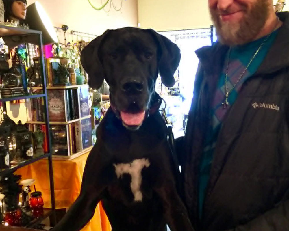 Customer with their black dog at the checkout counter of our store.