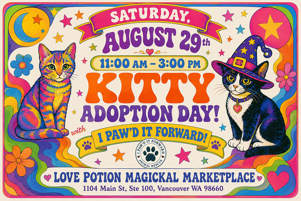 Kitty Adoption Day w/ I Paw'd it Forward!