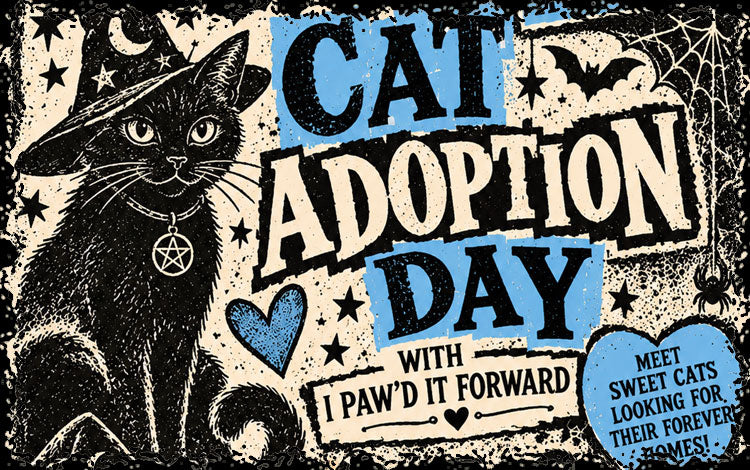 Kitty Adoption Day w/ I Paw'd it Forward!