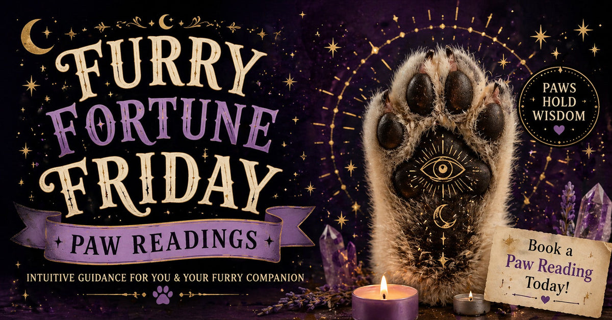 Paw Readings *Furry* Fortune Friday - Psychic Faire! 🐾