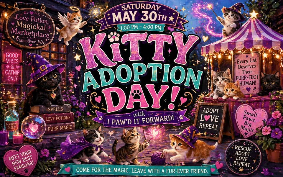 Kitty Adoption Day w/ I Paw'd it Forward!