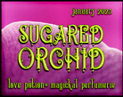 Sugared Orchid layerable perfume by Love Potion. Label shows fuchsia orchid petals.