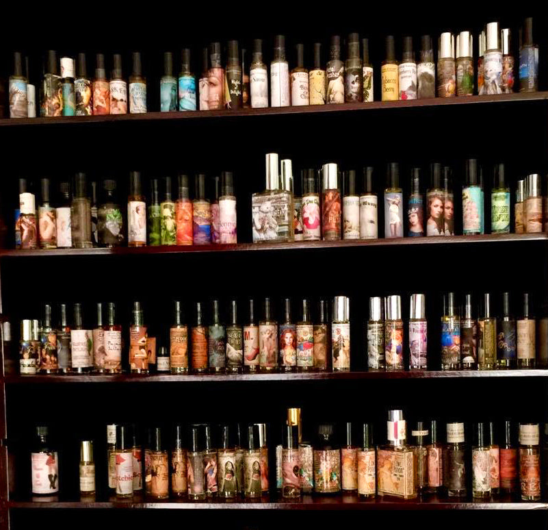 Shelves of handmade Love Potion clean perfumes and pheromone bottles in our Magickal Marketplace store.