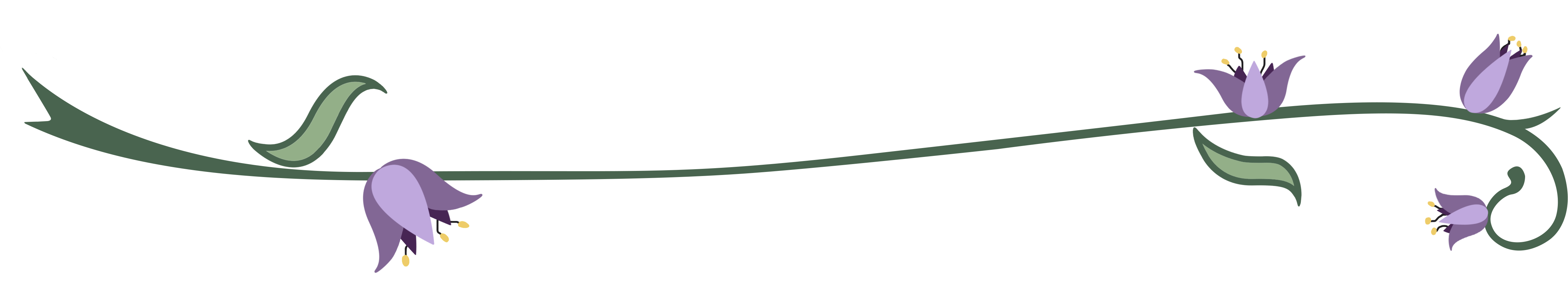 Graphic of a curling vine with delicate purple flowers and a transparent background for Love Potion webpage.