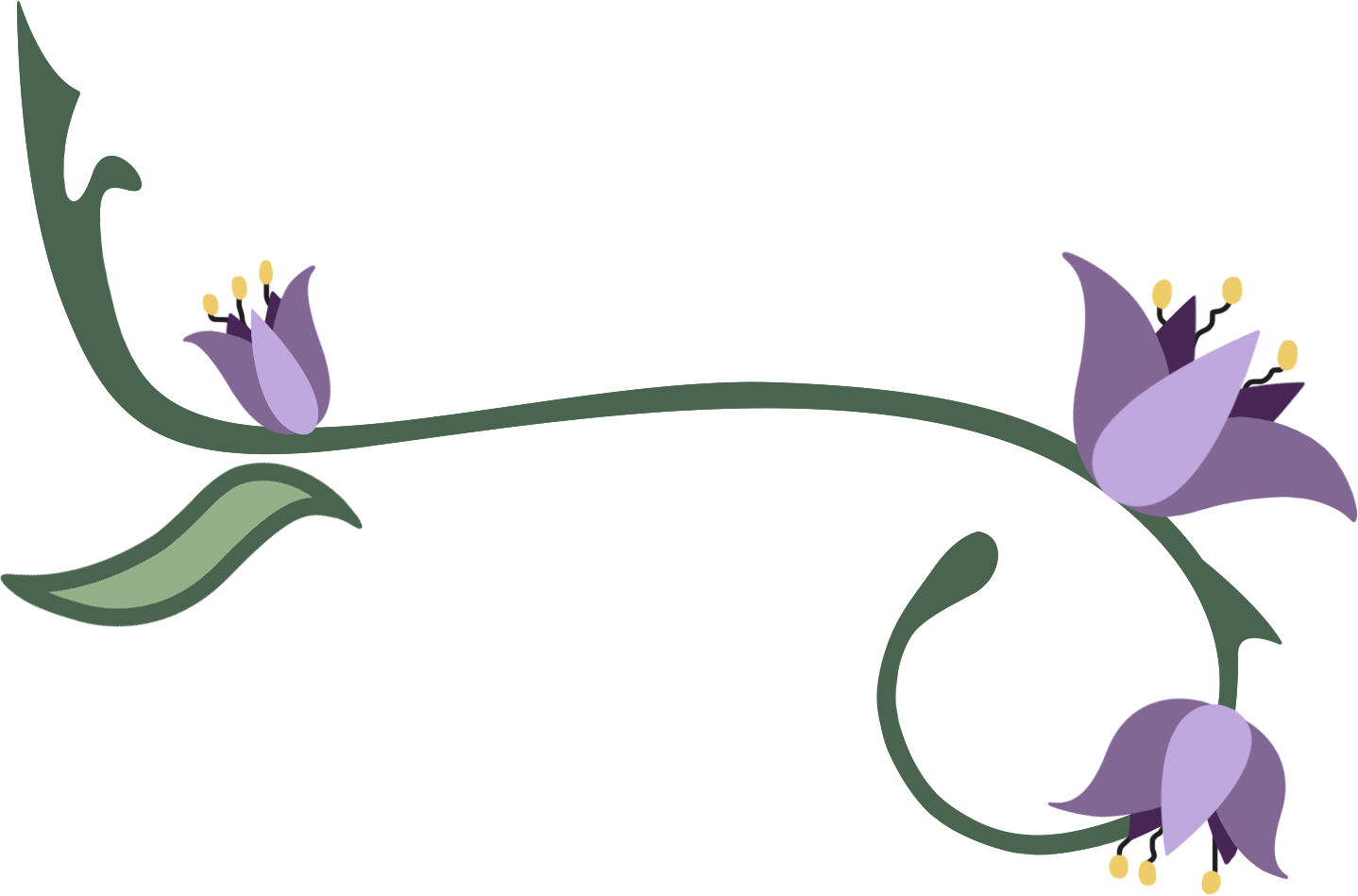 Long graphic of a curling vine with delicate purple flowers