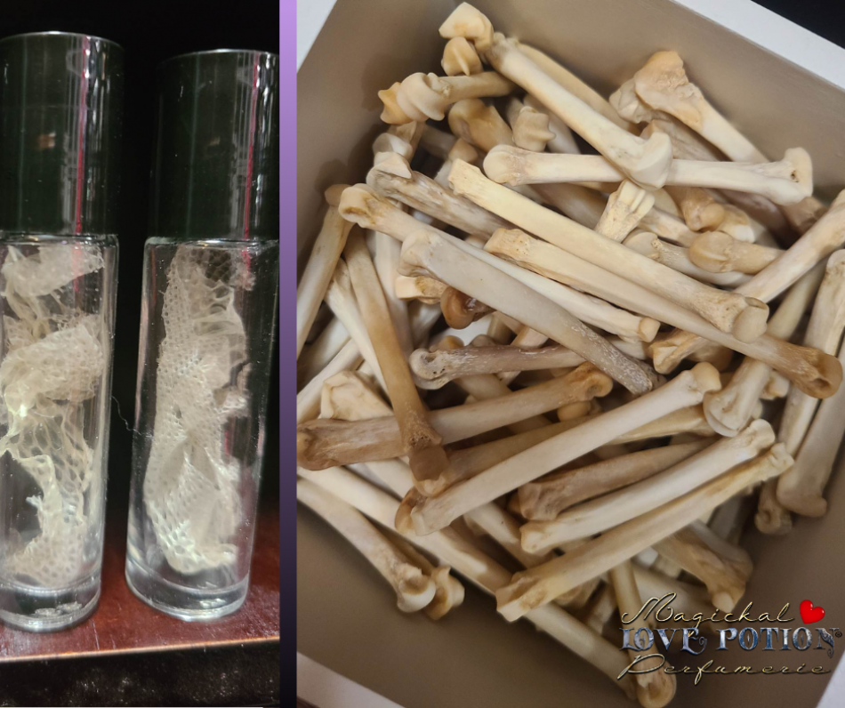 Our collection of ethically sourced Snake Skin and Coyote Bones.