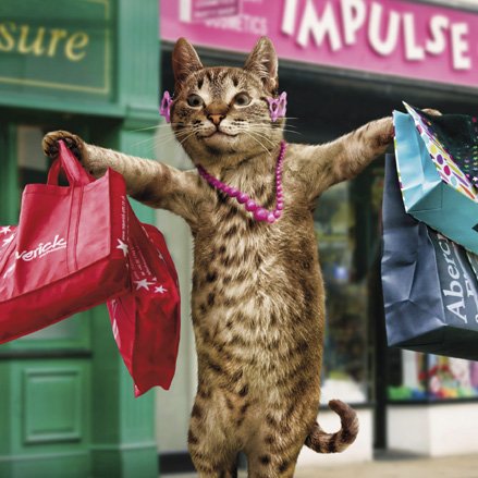 Image of cat in jewelry holding shopping bags.